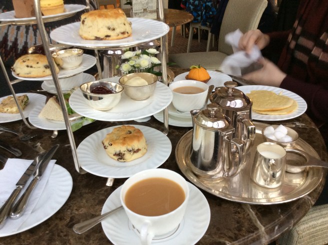 31135442-54DB-4191-A7FC-1F8E27181097